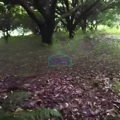 Dijual Tanah Luas 5800 m² Lokasi Boyolali Jawa Tengah-2