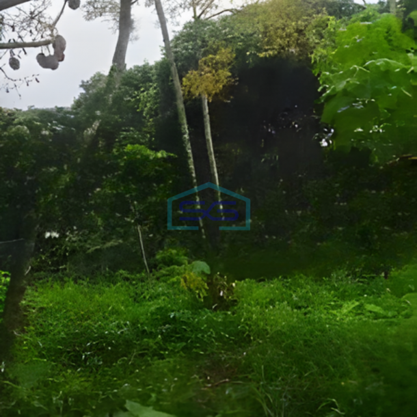 Dijual Tanah Luas 5800 m² Lokasi Boyolali Jawa Tengah-1