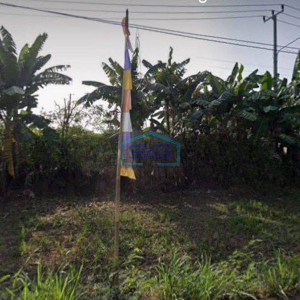 Dijual Tanah Murah 4 Hektar Pinggir Jalan Raya di Sukawangi Bekasi-2