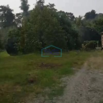 Dijual Tanah Luas 50000 m² Lokasi di Lebak Banten