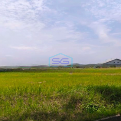 Dijual Tanah Luas  17364 m² Lokasi di Marunda Jakarta Utara