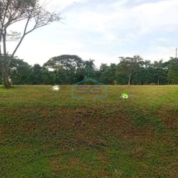 Disewakan Tanah Luas 5000 m² di Bintaro Tangerang Selatan-1