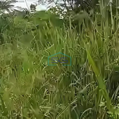 Dijual Tanah Lokasi Dekat Jalan Utama Di Gunung Sindur Bogor LT 1 Ha