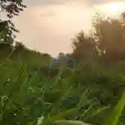 Dijual Tanah Lokasi Dekat Jalan Utama Di Gunung Sindur Bogor LT 1 Ha