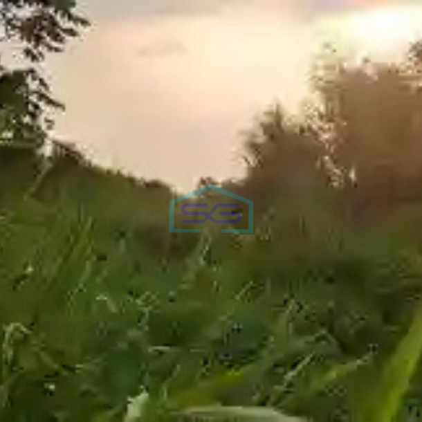 Dijual Tanah Lokasi Dekat Jalan Utama Di Gunung Sindur Bogor LT 1 Ha-1