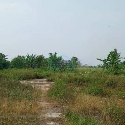 Dijual Cepat!! Tanah Legok Tangerang Lt 8 Hektar