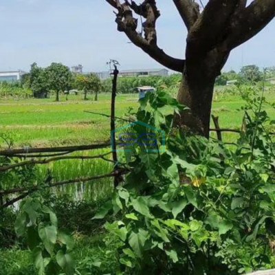 Dijual Tanah Kosong di Cikande Serang, Kawasan Industri Luas 30 Ha