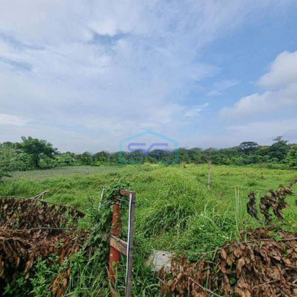 Dijual Lokasi Bagus!! Tanah Kawasan Industri Cikande Serang LT 240000m2-1