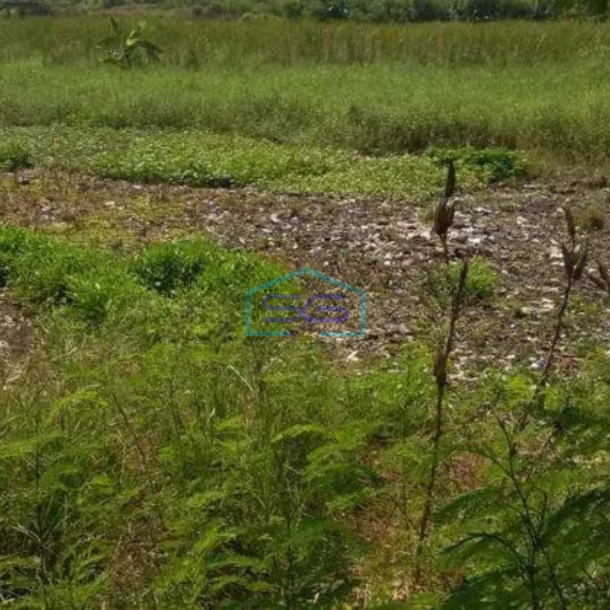 Dijual Tanah Strategis!! di Jl Rorotan Cilincing, Jakarta Utara-1