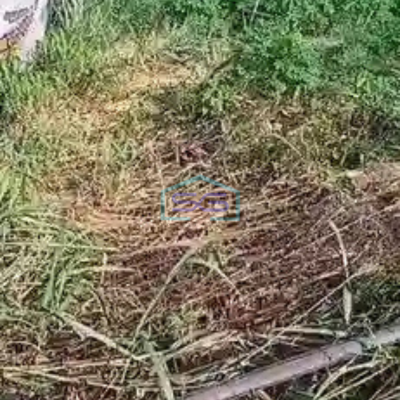 Dijual Tanah Pinggir Jalan!! di Gunung Sindur Bogor LT 5000m2-2