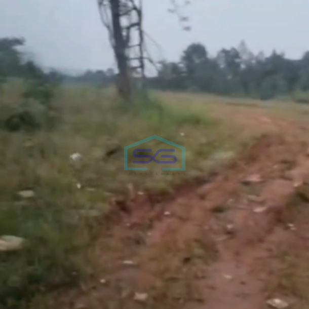 Dijual Tanah Kavling di Parung Panjang Bogor Luas Tanah 8000m2-2