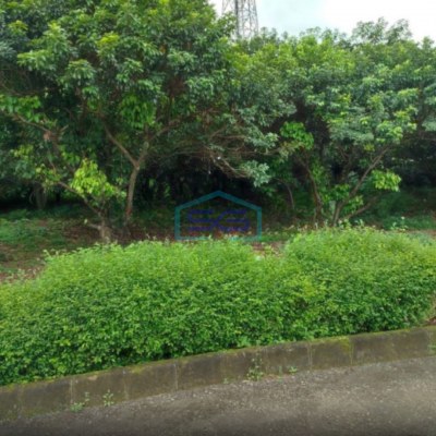 Dijual Pabrik Siap Huni di Desa Dayeu Cileungsi Bogor Jawa Barat LB 7100m2