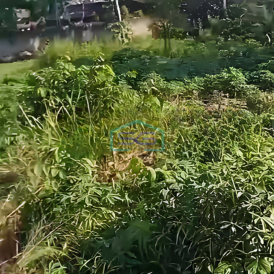 Dijual Tanah Bebas Banjir di Pinggir Jalan Raya Gunung Sindur Bogor LT 5000m2