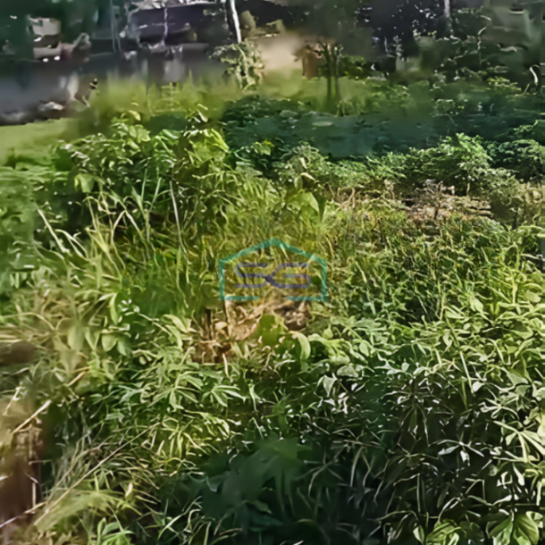 Dijual Tanah Bebas Banjir di Pinggir Jalan Raya Gunung Sindur Bogor LT 5000m2-2