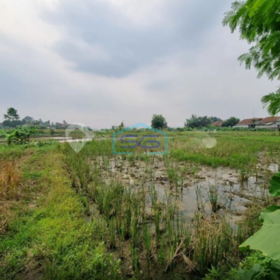 Dijual Tanah Luas 15 ha Di Cikande Gabus Serang