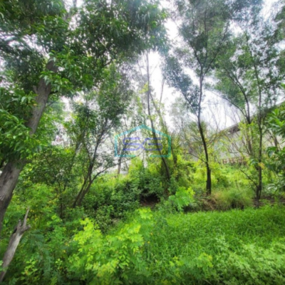 Dijual Tanah Kavling Luas 4 Hektar di Cikande Serang