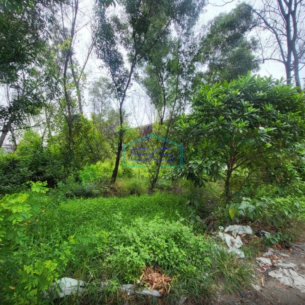 Dijual Tanah Kavling Luas 4 Hektar di Cikande Serang-2