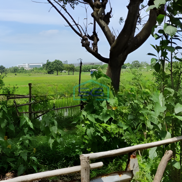 Dijual Tanah Kosong Lokasi di di Cikande Serang Kawasan Industri LT 300000m2-2