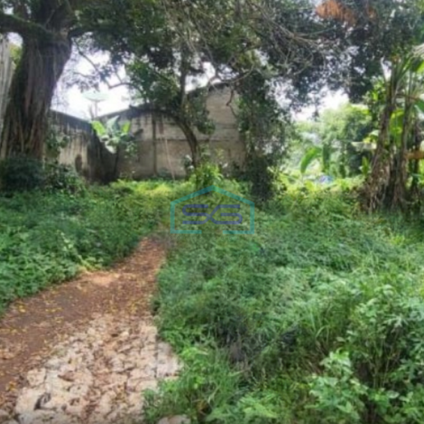 Dijual Murah Tanah Lokasidi Jl. Buaran Kec Serpong Ciater Tangerang LT 17702m2-3