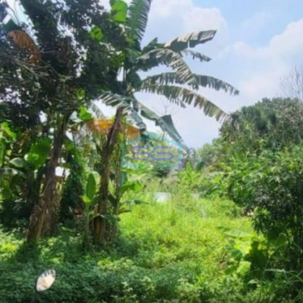 Dijual Murah Tanah Lokasidi Jl. Buaran Kec Serpong Ciater Tangerang LT 17702m2-2