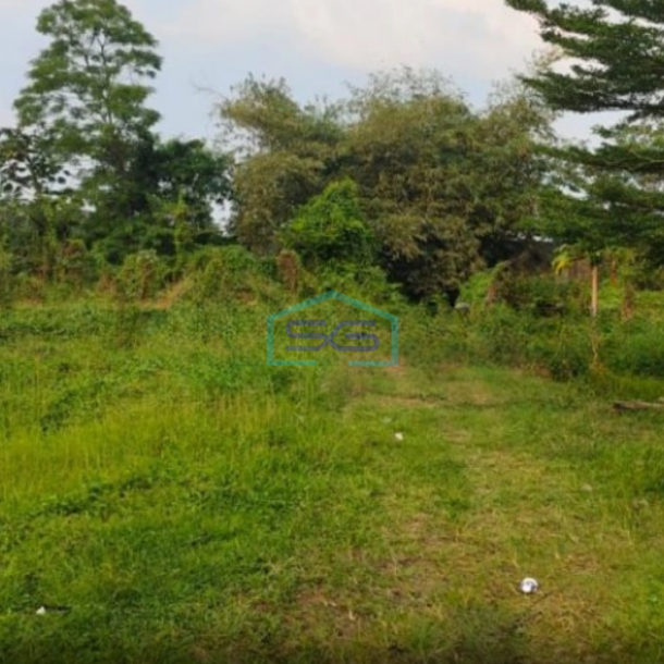 Dijual Tanah Lokasi Sangat Bagus Pinggir Jalan Utama Di Gunung Sindur Curug Bogor LT 8000m2-1