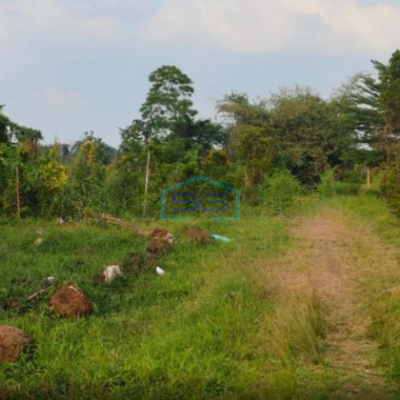 Dijual Tanah Lokasi Sangat Bagus Pinggir Jalan Utama Di Gunung Sindur Curug Bogor LT 8000m2
