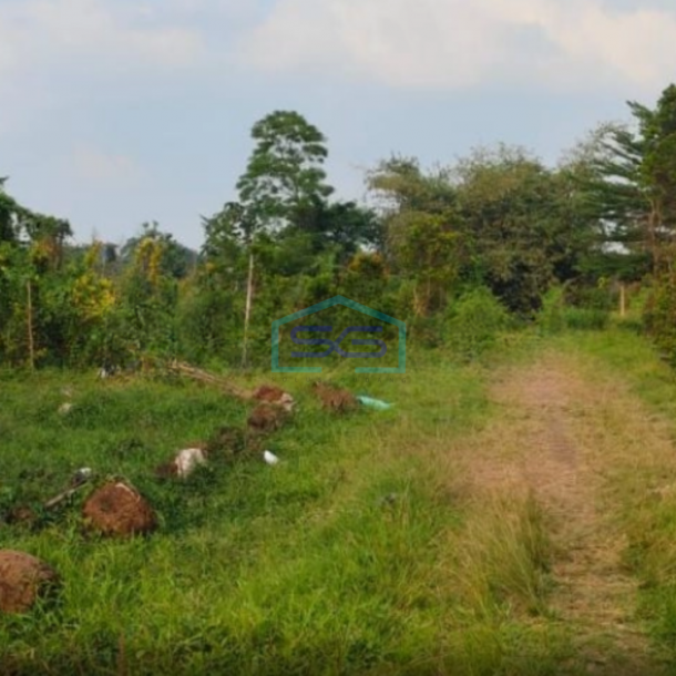 Dijual Tanah Lokasi Sangat Bagus Pinggir Jalan Utama Di Gunung Sindur Curug Bogor LT 8000m2-5