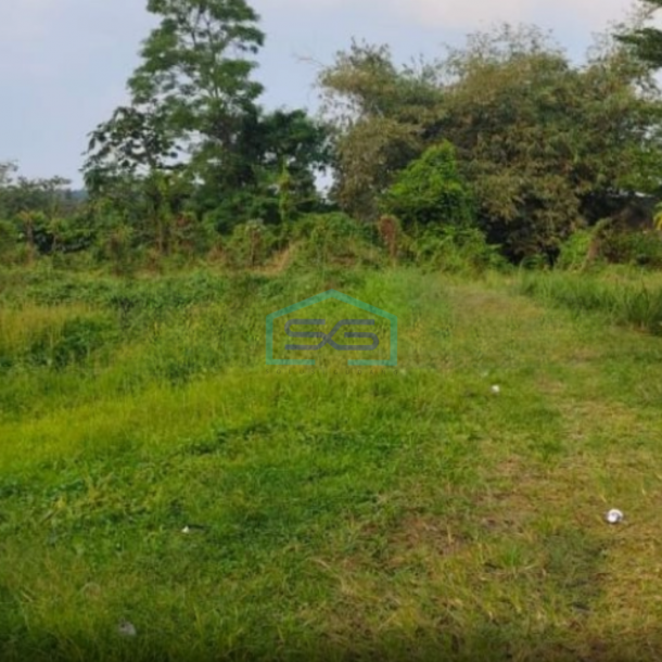 Dijual Tanah Lokasi Sangat Bagus Pinggir Jalan Utama Di Gunung Sindur Curug Bogor LT 8000m2-4