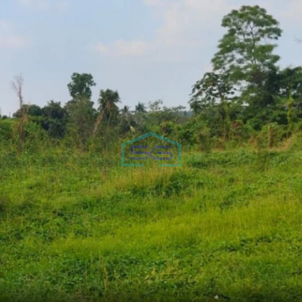 Dijual Tanah Lokasi Sangat Bagus Pinggir Jalan Utama Di Gunung Sindur Curug Bogor LT 8000m2-3