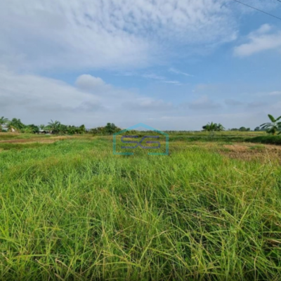 Dijual Tanah Kosong di Pinggir Jalan Utama Dalam Kawasan Industri Cikande Serang LT 140 Ha