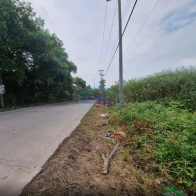 Dijual Tanah Lokasi Bagus Dalam Kawasan Industri di Cikande Serang Luas 24 Ha