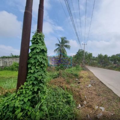 Dijual Tanah Lokasi Bagus Dalam Kawasan Industri di Cikande Serang Luas 24 Ha