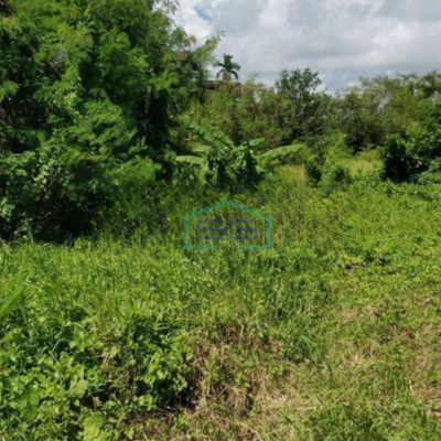 Dijual Tanah Luas  2525 m² Lokasi Strategis di Canggu Badung Bali