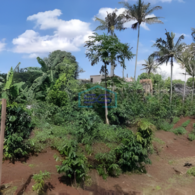 Dijual Tanah Murah Lokasi di Padalarang Bandung Luas Tanah 1665m2