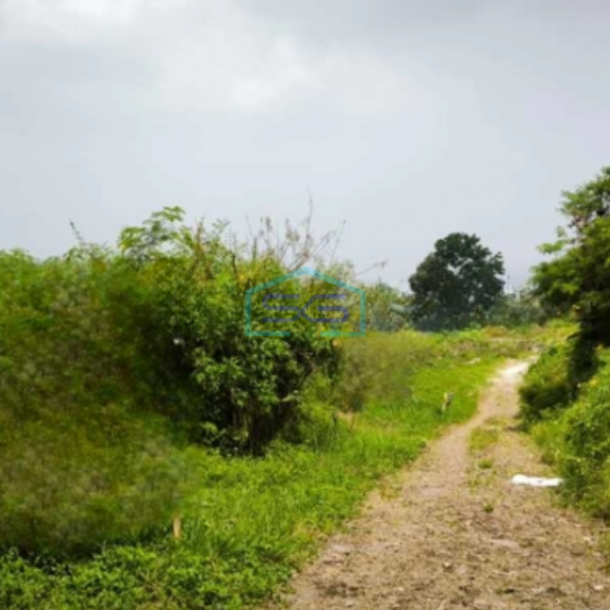 Dijual Tanah Kavling Siap di Bangun Bebas Banjir di Dago Bandung LT 1000m2-1