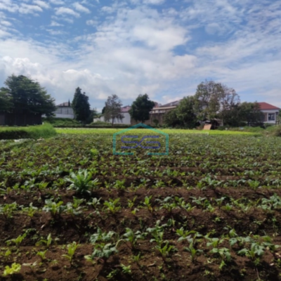 Dijual Tanah Kavling Bagus dan Harga Termurah di Setiabudi Regency Bandung LT 1980m2