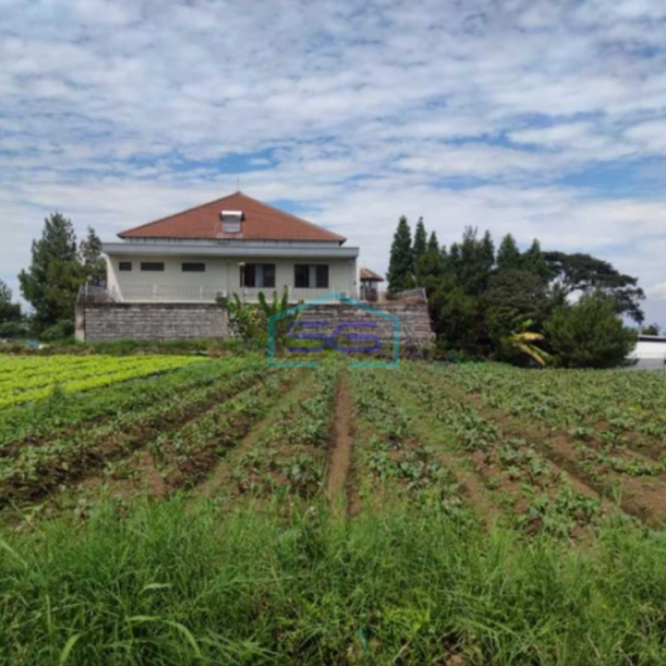 Dijual Tanah Kavling Bagus dan Harga Termurah di Setiabudi Regency Bandung LT 1980m2-2