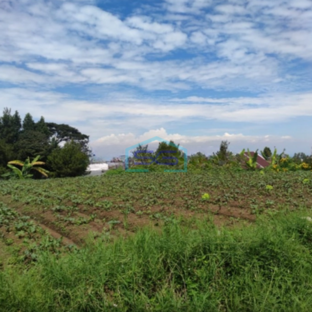 Dijual Tanah Kavling Bagus dan Harga Termurah di Setiabudi Regency Bandung LT 1980m2-1