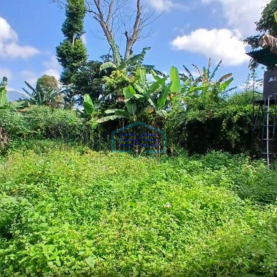 Dijual Tanah Harga Murah di Baturiti Tabanan Bali Luas Tanah 2780m2