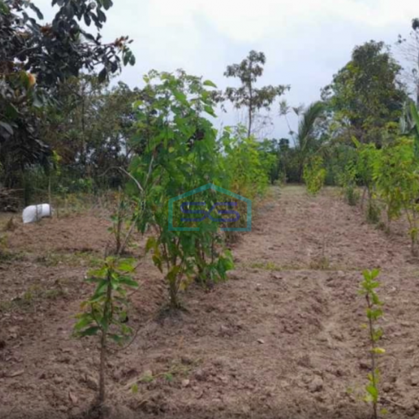 Dijual Tanah Harga Murah di Baturiti Tabanan Bali Luas Tanah 2780m2-2