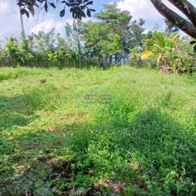 Dijual Tanah Harga Murah di Baturiti Tabanan Bali Luas Tanah 2780m2