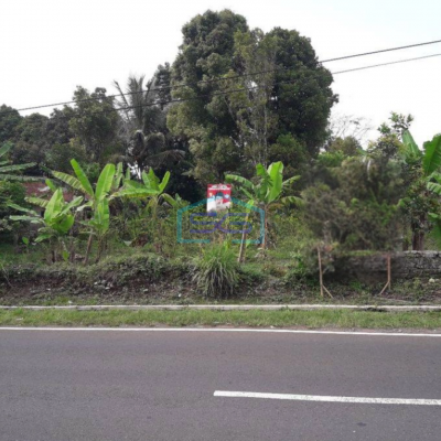 Dijual Tanah Kebun Murah di Desa Ciseutik Dekat Tugu Cagak Subang LT 3110m2