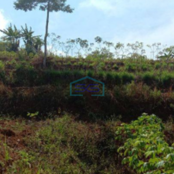 Dijual Tanah Siap Bangun Daerah Cileunyi Bandung LT 31126m2-1