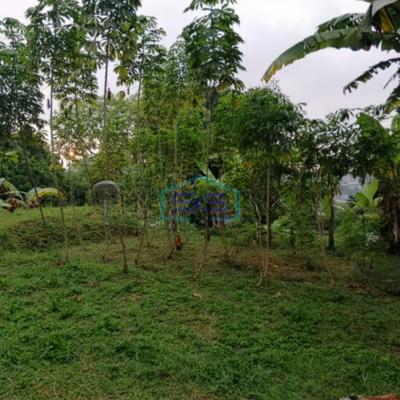 Dijual Tanah Kavling Siap Bangun Di Hegarsari Hegarmanah Cidadap Bandung Utara