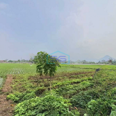 Dijual Murah Tanah 3 Menit Ke Pintu Tol Margaasih Bandung LT 70000m2