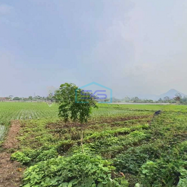 Dijual Murah Tanah 3 Menit Ke Pintu Tol Margaasih Bandung LT 70000m2-2