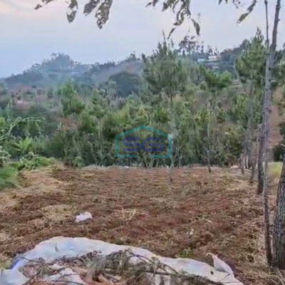 Dijual Tanah di Cimenyan Bandung Luas Tanah 16 Ha