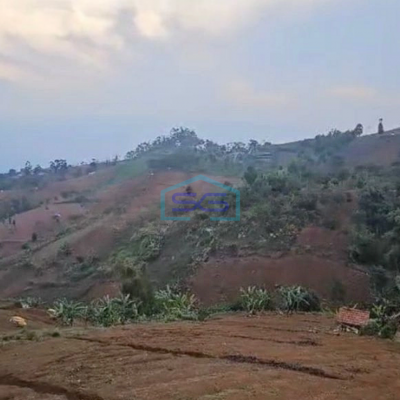 Dijual Tanah di Cimenyan Bandung Luas Tanah 16 Ha