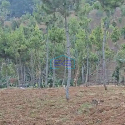 Dijual Tanah di Cimenyan Bandung Luas Tanah 16 Ha