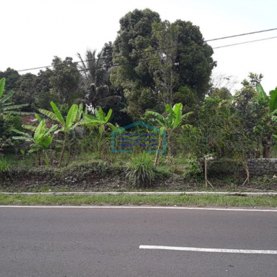 Dijual Tanah Murah di Desa Ciseutik Dekat Tugu Cagak Subang LT 3110m2